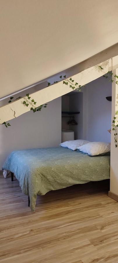 L'Appartement 7 - Centre Ville-Parking-Tv-Wifi Tarbes Dış mekan fotoğraf
